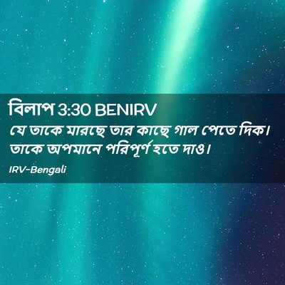 Picture 02 - বিলাপ 3:30 BENIRV - যে তাকে মারছে তার - Bible Verse Picture