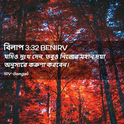 Picture 02 - বিলাপ 3:32 BENIRV - যদিও দুঃখ দেন, তবুও - Bible Verse Picture