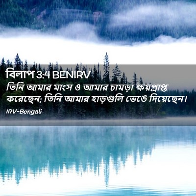 Picture 02 - বিলাপ 3:4 BENIRV - তিনি আমার মাংস ও - Bible Verse Picture