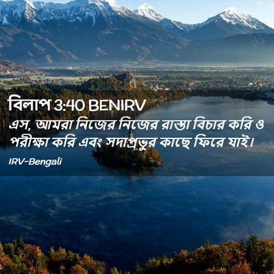 Picture 02 - বিলাপ 3:40 BENIRV - এস, আমরা নিজের - Bible Verse Picture