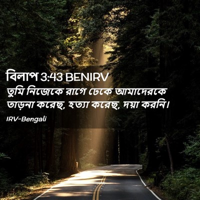 Picture 02 - বিলাপ 3:43 BENIRV - তুমি নিজেকে রাগে - Bible Verse Picture