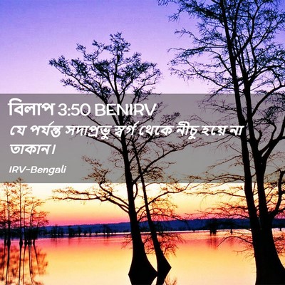 Picture 02 - বিলাপ 3:50 BENIRV - যে পর্যন্ত - Bible Verse Picture