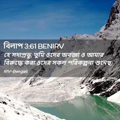 Picture 02 - বিলাপ 3:61 BENIRV - হে সদাপ্রভু, তুমি - Bible Verse Picture