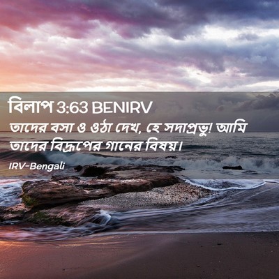 Picture 02 - বিলাপ 3:63 BENIRV - তাদের বসা ও ওঠা - Bible Verse Picture
