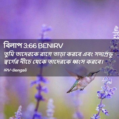 Picture 02 - বিলাপ 3:66 BENIRV - তুমি তাদেরকে রাগে - Bible Verse Picture