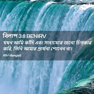 Picture 02 - বিলাপ 3:8 BENIRV - যখন আমি কাঁদি এবং - Bible Verse Picture