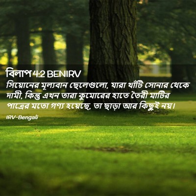 Picture 02 - বিলাপ 4:2 BENIRV - সিয়োনের মূল্যবান - Bible Verse Picture