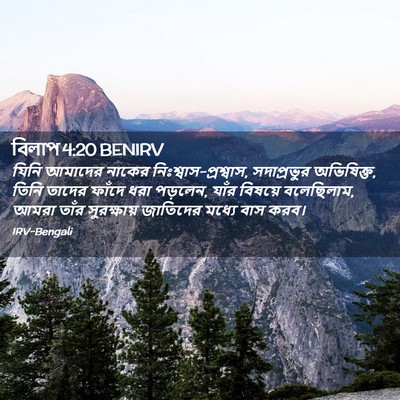 Picture 02 - বিলাপ 4:20 BENIRV - যিনি আমাদের নাকের - Bible Verse Picture