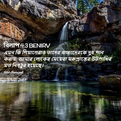 Picture 02 - বিলাপ 4:3 BENIRV - এমন কি শিয়ালেরাও - Bible Verse Picture