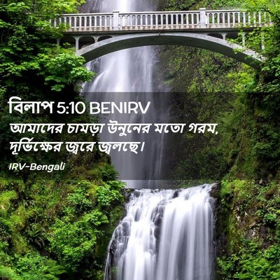 Picture 02 - বিলাপ 5:10 BENIRV - আমাদের চামড়া - Bible Verse Picture