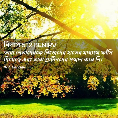 Picture 02 - বিলাপ 5:12 BENIRV - তারা নেতাদেরকে - Bible Verse Picture