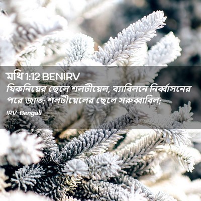 Picture 02 - মথি 1:12 BENIRV - যিকনিয়ের ছেলে - Bible Verse Picture