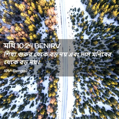 Picture 02 - মথি 10:24 BENIRV - শিষ্য গুরুর থেকে - Bible Verse Picture