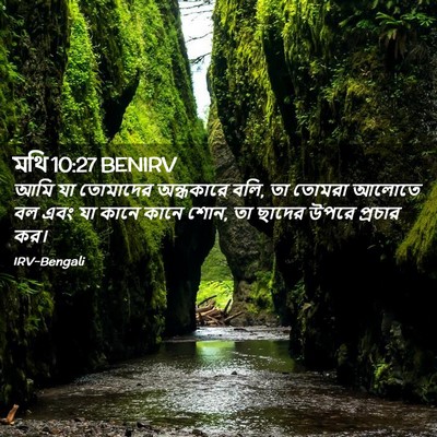 Picture 02 - মথি 10:27 BENIRV - আমি যা তোমাদের - Bible Verse Picture