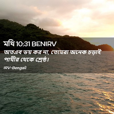 Picture 02 - মথি 10:31 BENIRV - অতএব ভয় কর না, - Bible Verse Picture