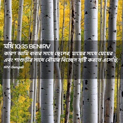 Picture 02 - মথি 10:35 BENIRV - কারণ আমি বাবার - Bible Verse Picture