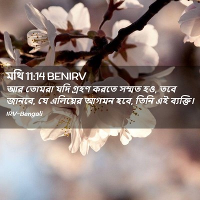 Picture 02 - মথি 11:14 BENIRV - আর তোমরা যদি গ্রহণ - Bible Verse Picture