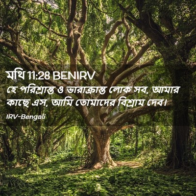 Picture 02 - মথি 11:28 BENIRV - হে পরিশ্রান্ত ও - Bible Verse Picture