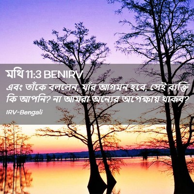 Picture 02 - মথি 11:3 BENIRV - এবং তাঁকে বললেন, - Bible Verse Picture