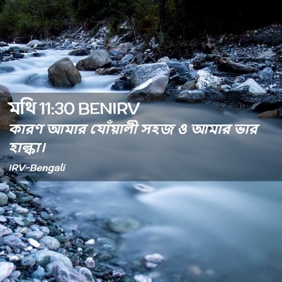 Picture 02 - মথি 11:30 BENIRV - কারণ আমার - Bible Verse Picture