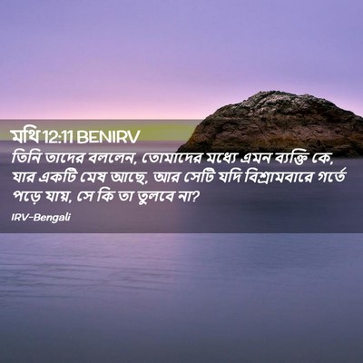 Picture 02 - মথি 12:11 BENIRV - তিনি তাদের বললেন, - Bible Verse Picture