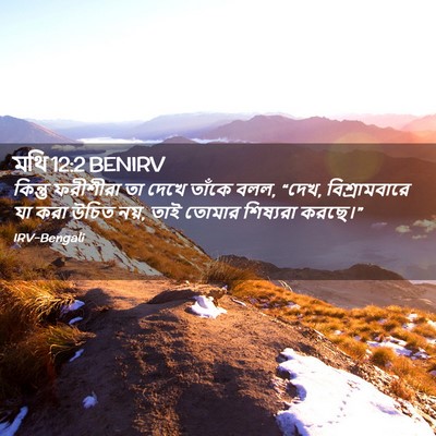 Picture 02 - মথি 12:2 BENIRV - কিন্তু ফরীশীরা তা - Bible Verse Picture