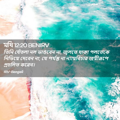 Picture 02 - মথি 12:20 BENIRV - তিনি থেঁতলা নল - Bible Verse Picture