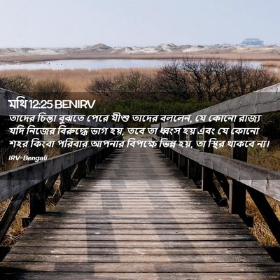 Picture 02 - মথি 12:25 BENIRV - তাদের চিন্তা - Bible Verse Picture