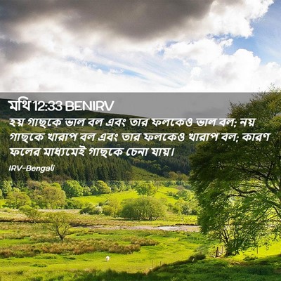 Picture 02 - মথি 12:33 BENIRV - হয় গাছকে ভাল বল - Bible Verse Picture