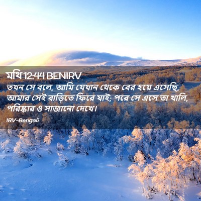 Picture 02 - মথি 12:44 BENIRV - তখন সে বলে, আমি - Bible Verse Picture