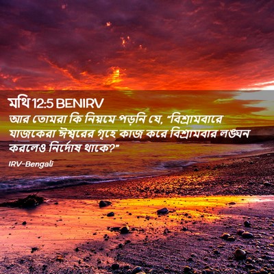 Picture 02 - মথি 12:5 BENIRV - আর তোমরা কি নিয়মে - Bible Verse Picture