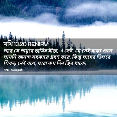 Picture 02 - মথি 13:20 BENIRV - আর যে পাথুরে জমির - Bible Verse Picture