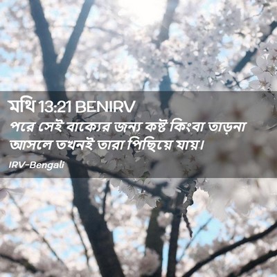Picture 02 - মথি 13:21 BENIRV - পরে সেই বাক্যের - Bible Verse Picture