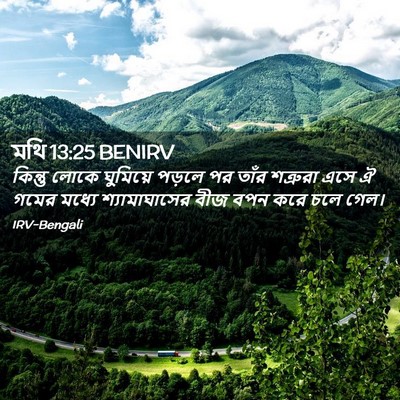 Picture 02 - মথি 13:25 BENIRV - কিন্তু লোকে - Bible Verse Picture