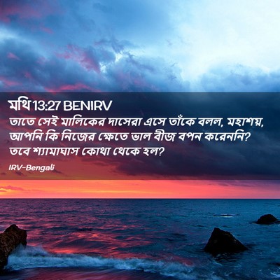 Picture 02 - মথি 13:27 BENIRV - তাতে সেই মালিকের - Bible Verse Picture