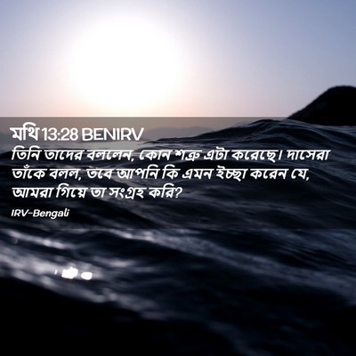 Picture 02 - মথি 13:28 BENIRV - তিনি তাদের বললেন, - Bible Verse Picture