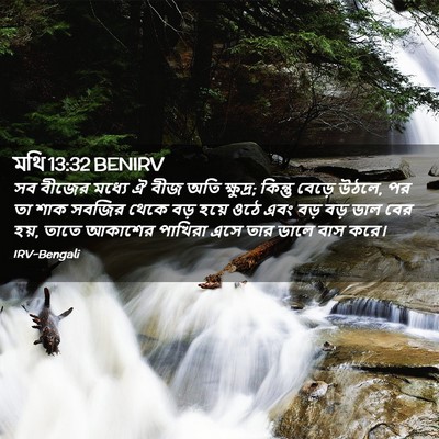 Picture 02 - মথি 13:32 BENIRV - সব বীজের মধ্যে ঐ - Bible Verse Picture