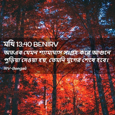 Picture 02 - মথি 13:40 BENIRV - অতএব যেমন - Bible Verse Picture