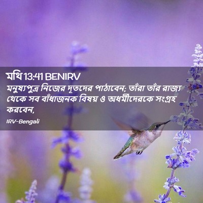 Picture 02 - মথি 13:41 BENIRV - মনুষ্যপুত্র নিজের - Bible Verse Picture