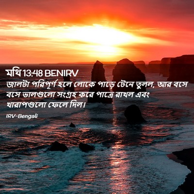 Picture 02 - মথি 13:48 BENIRV - জালটা পরিপূর্ণ - Bible Verse Picture