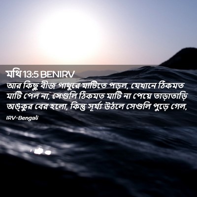 Picture 02 - মথি 13:5 BENIRV - আর কিছু বীজ পাথুরে - Bible Verse Picture