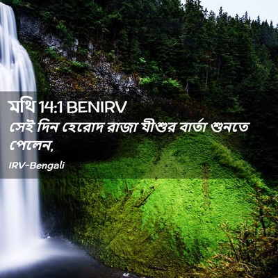 Picture 02 - মথি 14:1 BENIRV - সেই দিন হেরোদ রাজা - Bible Verse Picture