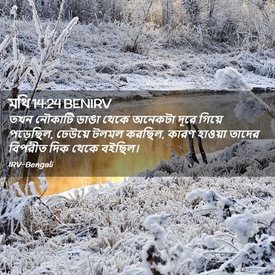 Picture 02 - মথি 14:24 BENIRV - তখন নৌকাটি ডাঙা - Bible Verse Picture