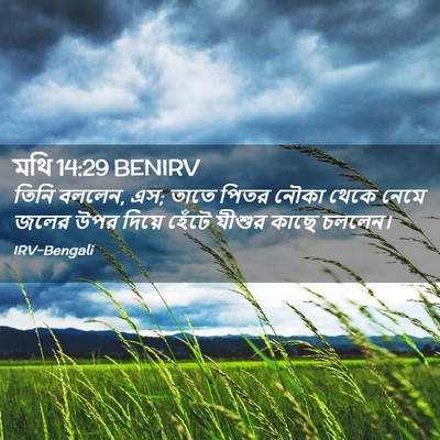 Picture 02 - মথি 14:29 BENIRV - তিনি বললেন, এস; - Bible Verse Picture