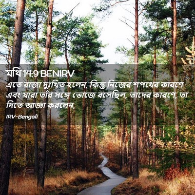 Picture 02 - মথি 14:9 BENIRV - এতে রাজা দুঃখিত - Bible Verse Picture