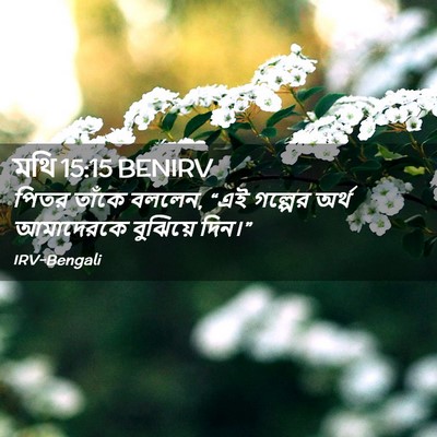 Picture 02 - মথি 15:15 BENIRV - পিতর তাঁকে বললেন, - Bible Verse Picture