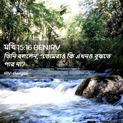 Picture 02 - মথি 15:16 BENIRV - তিনি বললেন, - Bible Verse Picture