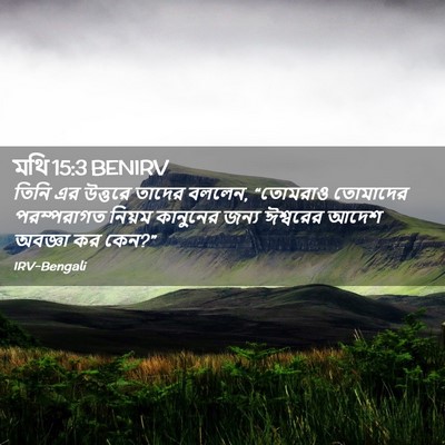 Picture 02 - মথি 15:3 BENIRV - তিনি এর উত্তরে - Bible Verse Picture