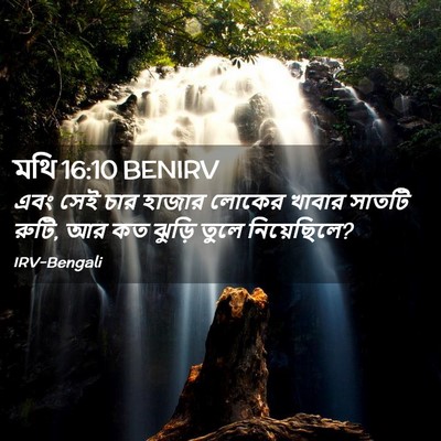 Picture 02 - মথি 16:10 BENIRV - এবং সেই চার হাজার - Bible Verse Picture