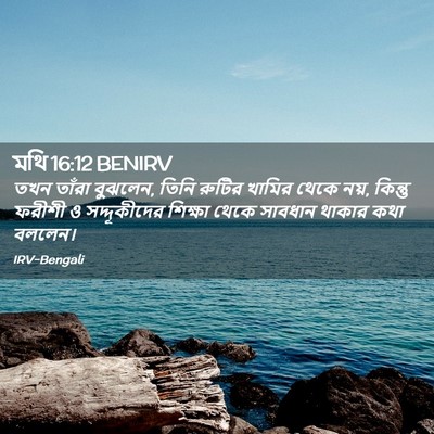 Picture 02 - মথি 16:12 BENIRV - তখন তাঁরা বুঝলেন, - Bible Verse Picture